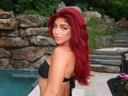 Why Milania Giudice's Court Case Was Just Postponed