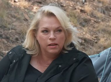 Sister Wives: Janelle Brown's Family Porch Photo Has Fans Thinking of Robyn's "Porch Dream"
